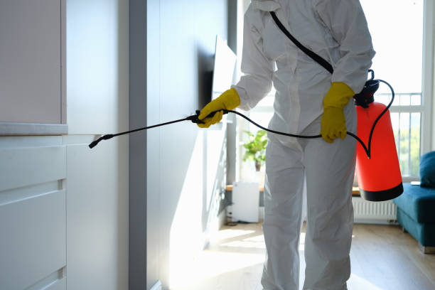 Best Mold Testing  in Johnstown, NY