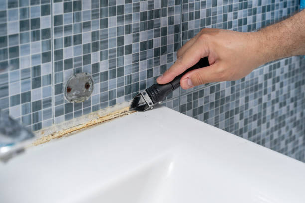 Best Residential Mold Removal  in Johnstown, NY